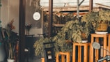 A storefront with large windows displaying an assortment of potted plants placed on wooden stands. The pots contain lush, cascading green foliage. Inside, a cozy interior is visible with chairs and a bouquet of flowers in a vase. A round 'open' sign hangs on the glass door, and a partial view of a motorcycle or scooter is visible in the foreground.