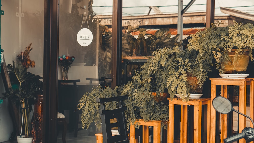 a room filled with lots of plants and chairs