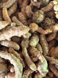 A close-up of fresh turmeric roots and ginger, highlighting the natural products we export.