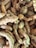 A collection of fresh turmeric roots, with their rough, brownish skin and vibrant orange interior peeking through in some spots. The roots are densely packed together, showcasing their natural, knobby form and earthy texture.