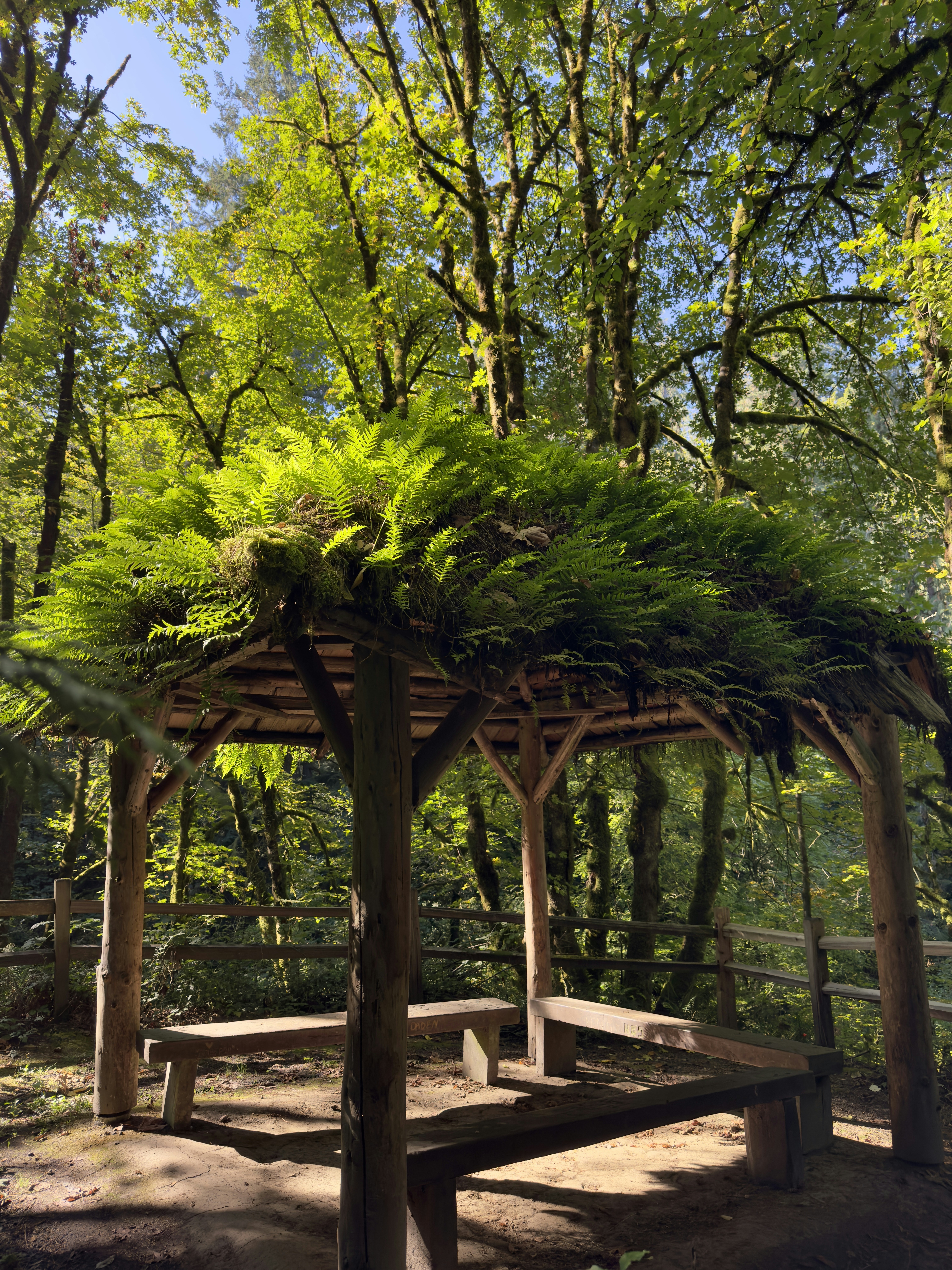 a gazebo in the middle of a wooded area