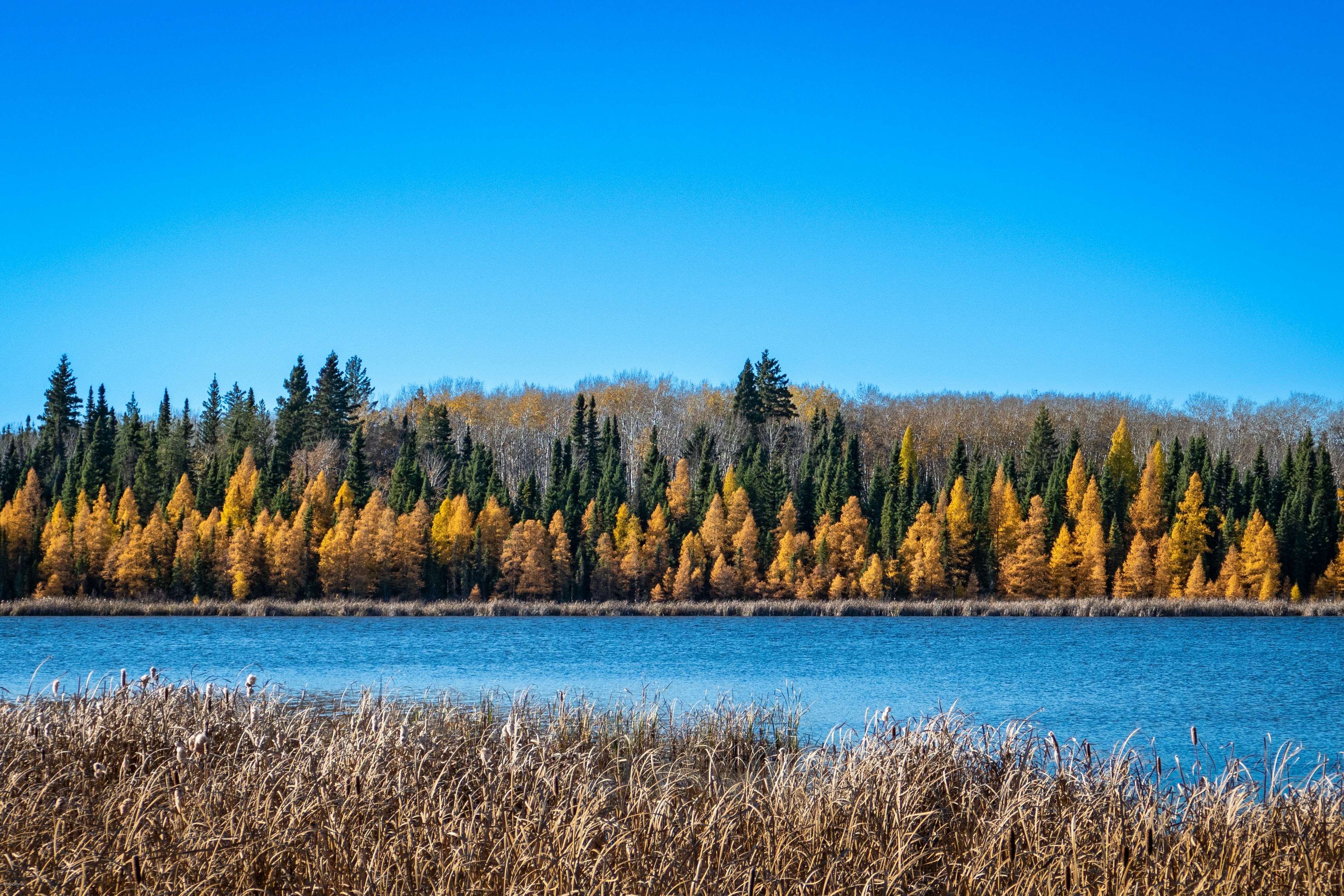 Photo by remmiznairb