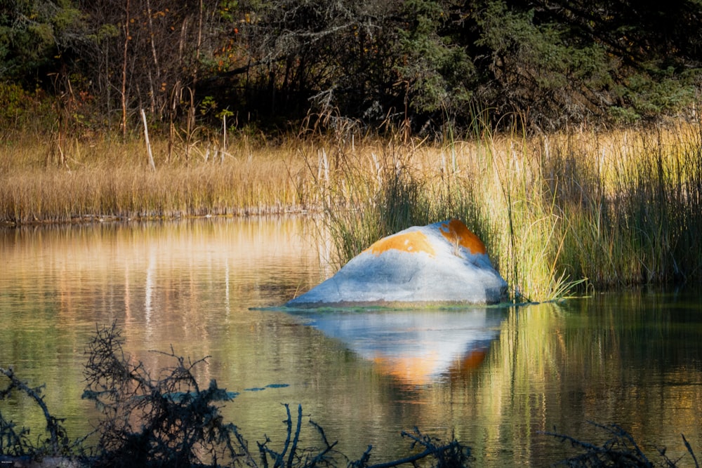 a rock sitting in the middle of a lake