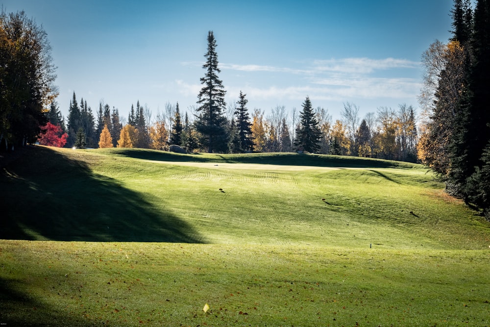 a green golf course with trees in the background