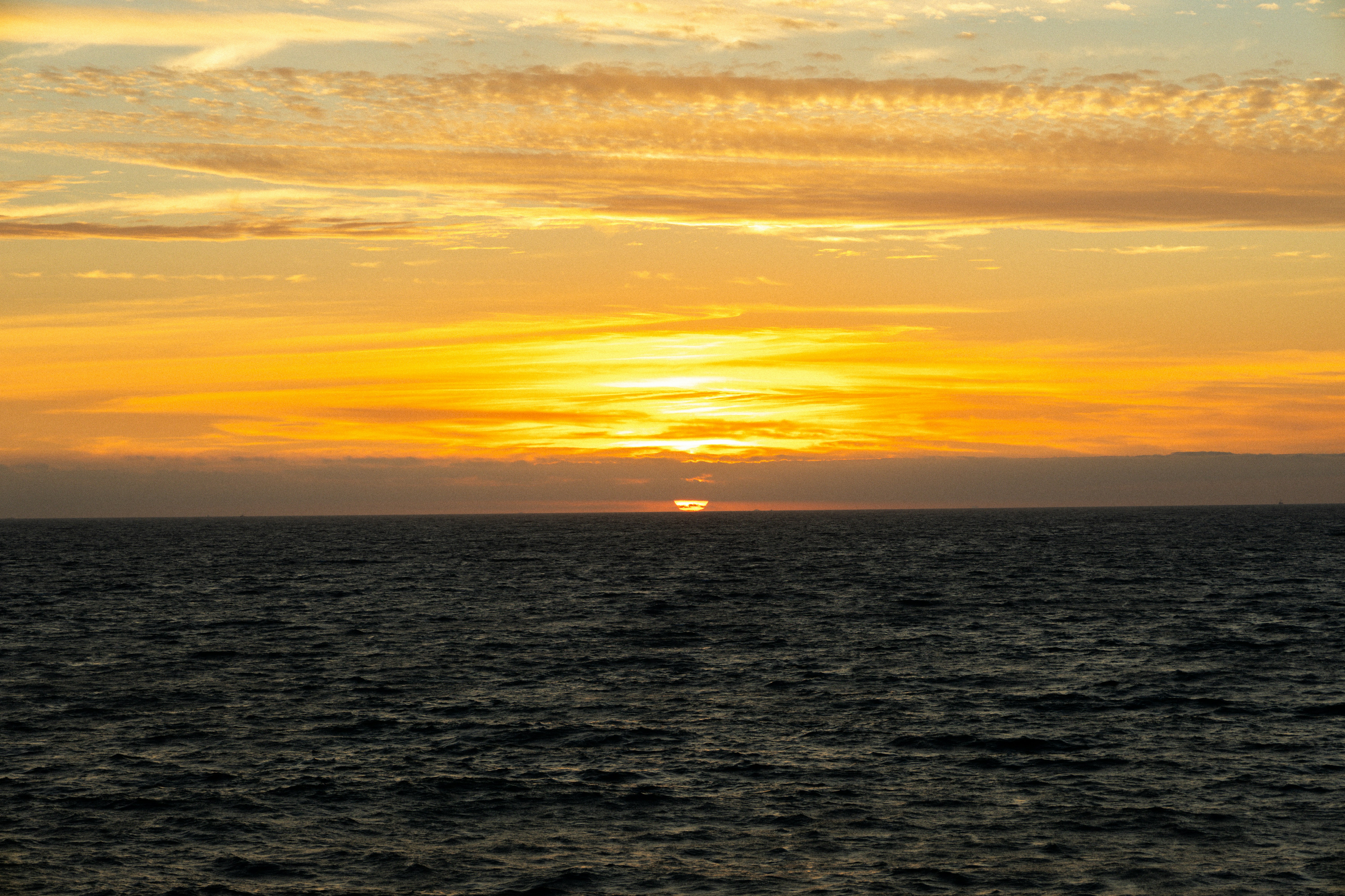 Photo by jonathangongphotography