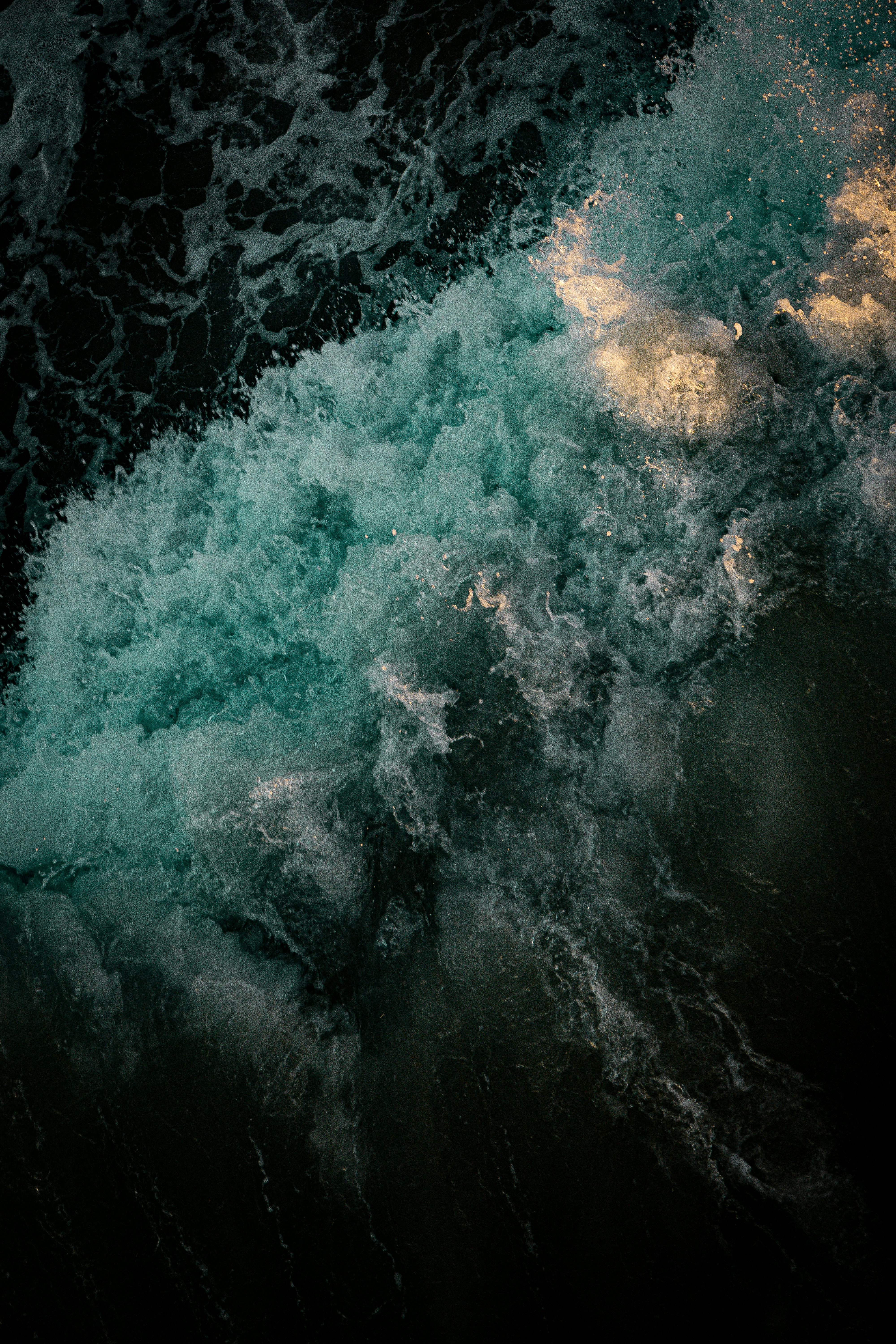 Photo by jonathangongphotography