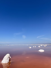 A serene landscape featuring a salt lake with calm, reddish-brown water under a clear blue sky. Large white salt formations protrude from the water, creating a striking contrast with the red hue. The horizon is distant, and the sky is vast, giving a sense of openness and tranquility.