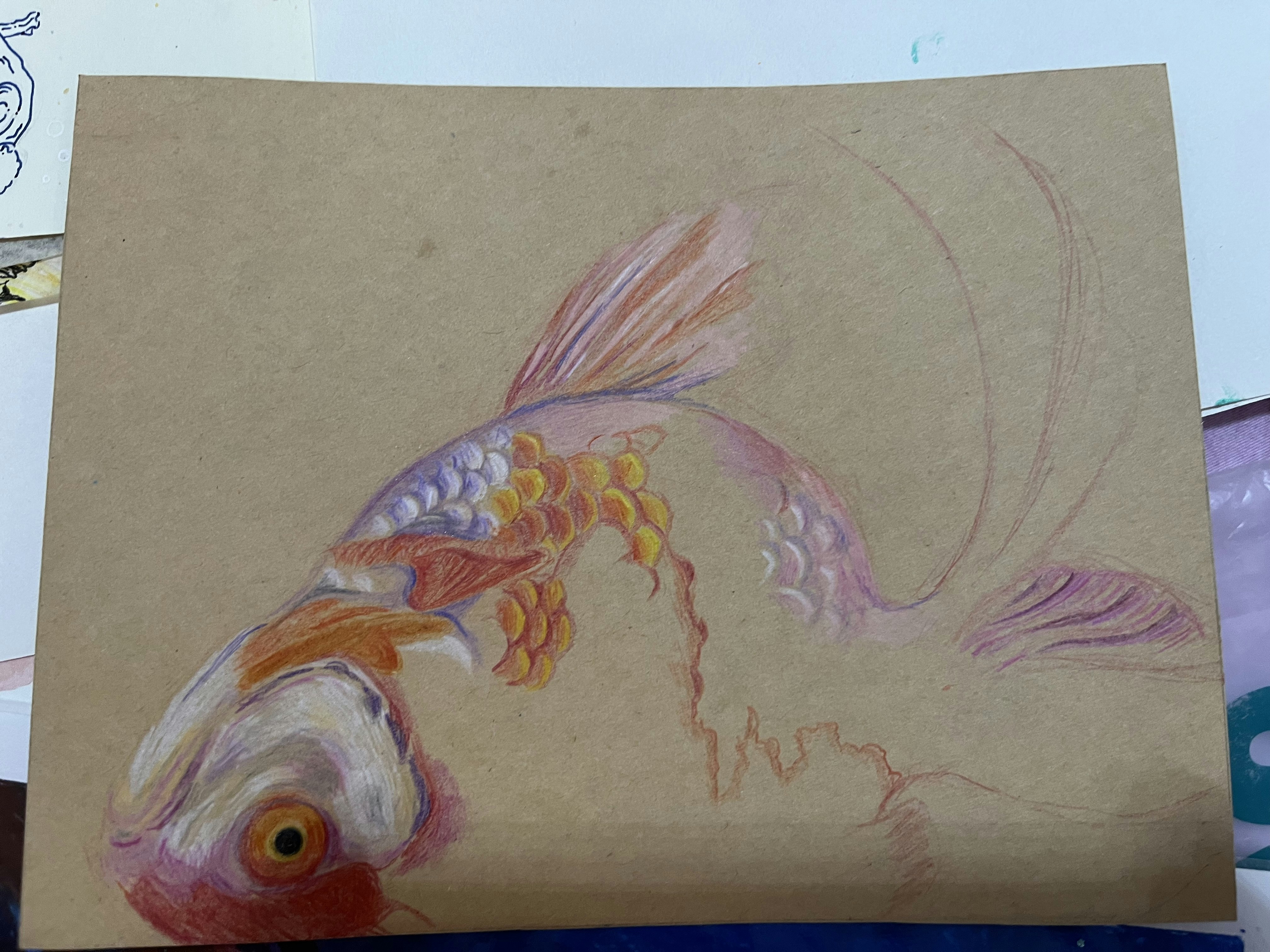 Livro Peixes Brasileiros