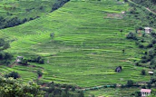 Lush green hills and terraced farmland typical of the Burundian countryside.