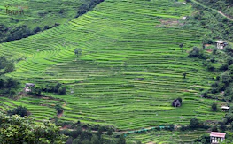 Lush green hills and terraced farmland typical of the Burundian countryside.