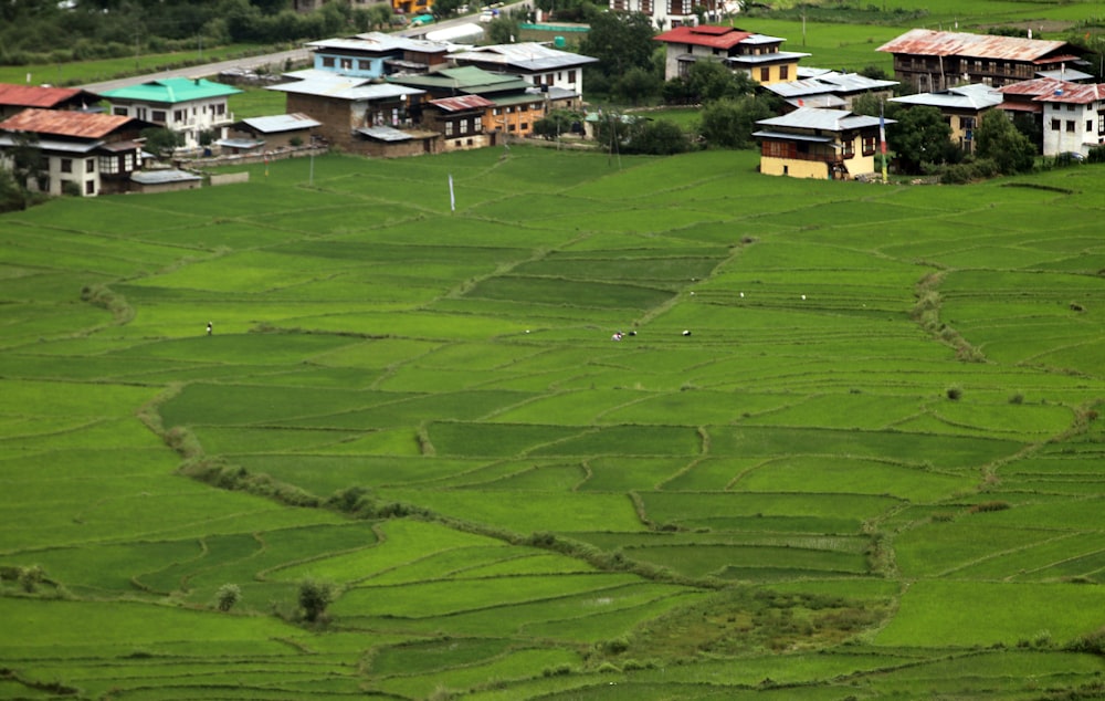 a green field with houses in the background