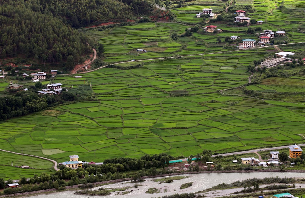 an aerial view of a village and rice fields