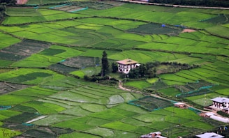 Spacious plot of land with rice fields in the background, perfect for building your dream home.