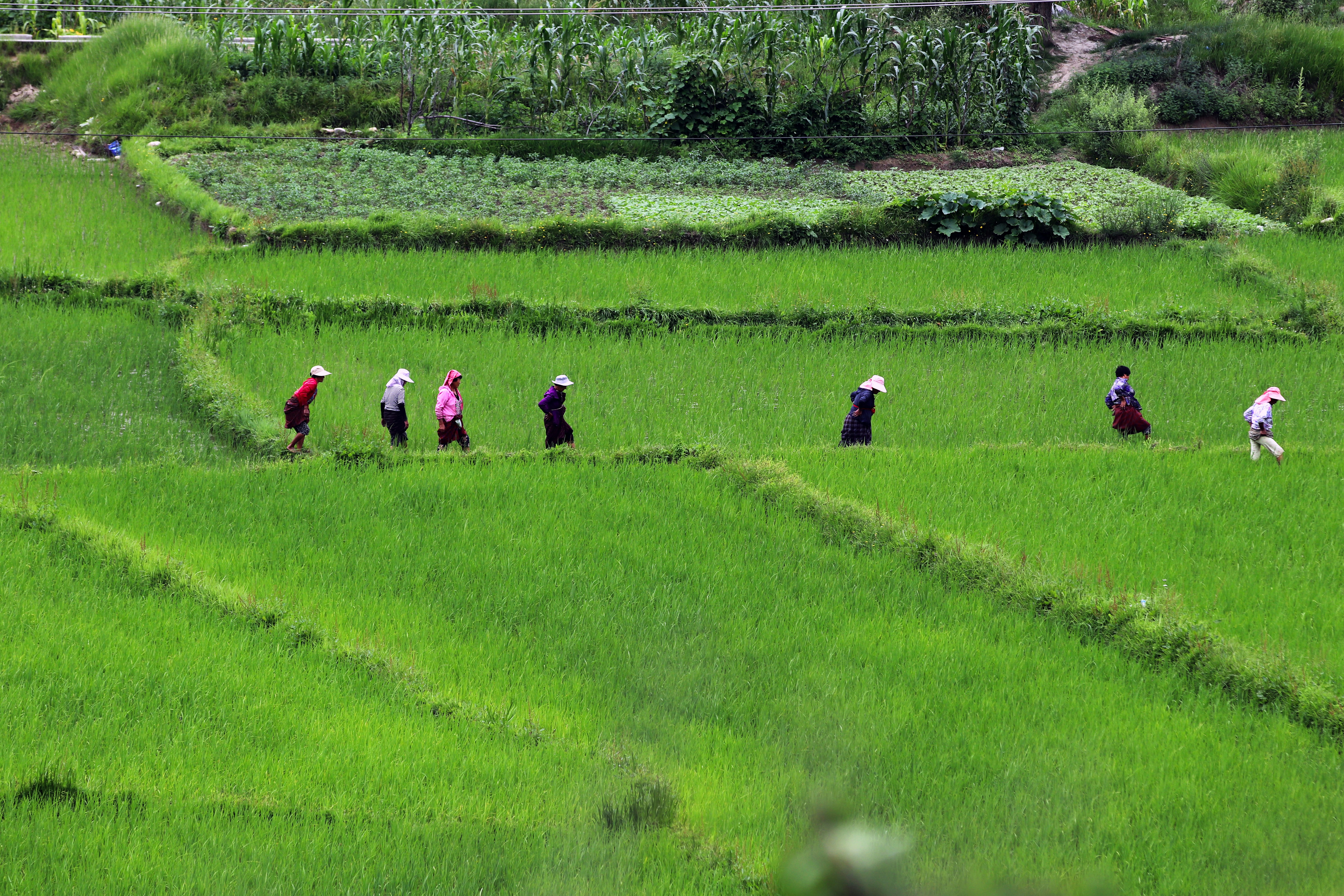 Photo by tenzin_wangchuk