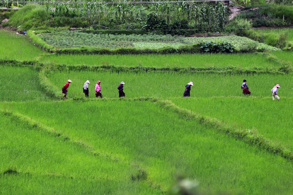 a group of people walking across a lush green field