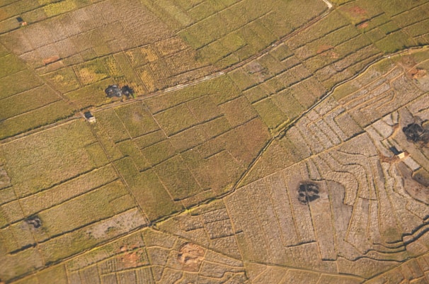 An expansive aerial view of agricultural fields divided into various rectangular and terraced plots. The landscape features different shades of green and brown, with a few scattered structures and small dark patches possibly representing ponds or burn areas.