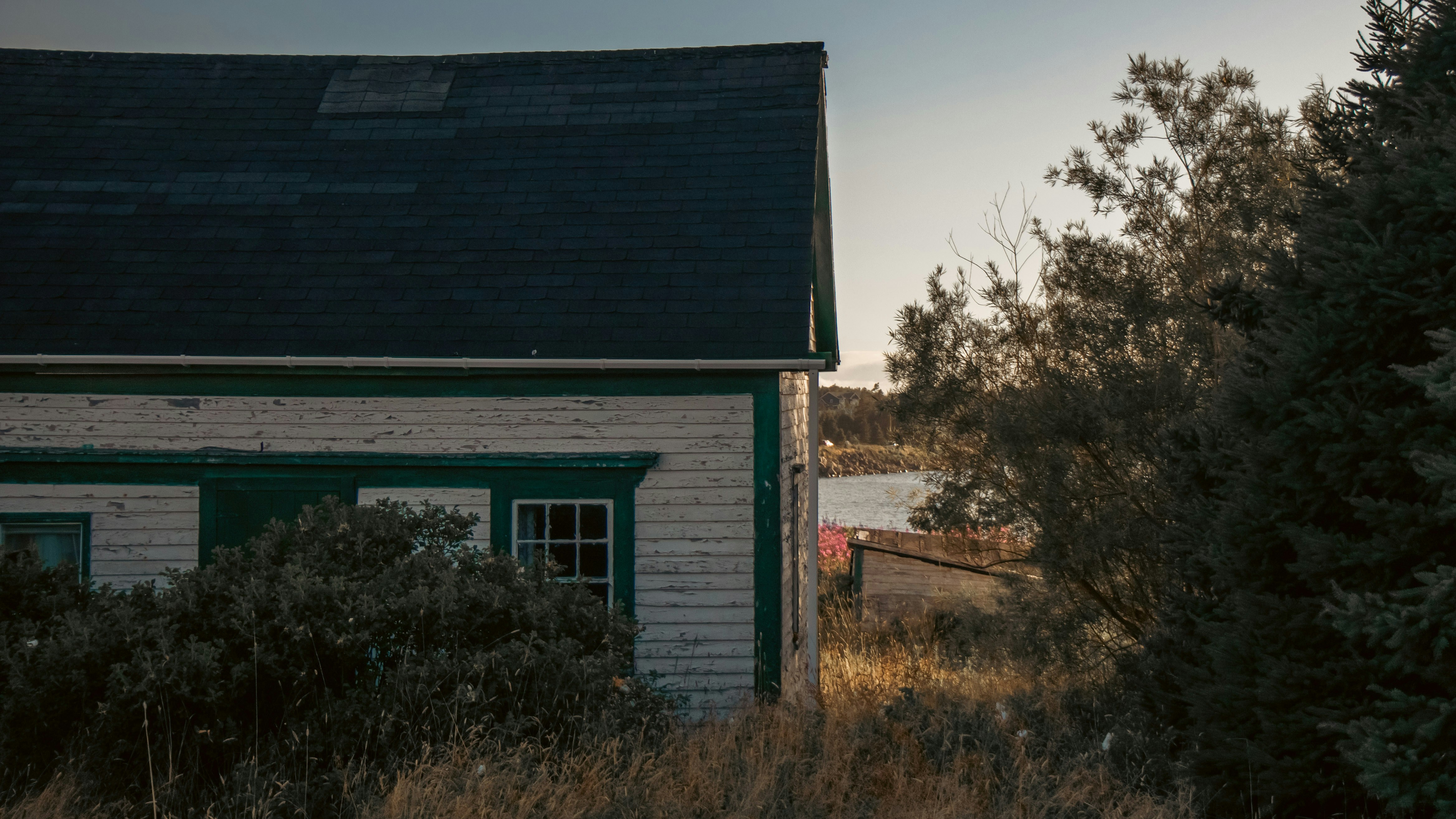 Photo by kaydenwilliam