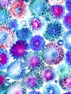 Skirtingų spalvų ir formų kriauklių kolekcija, paruošta individualiems projektams.