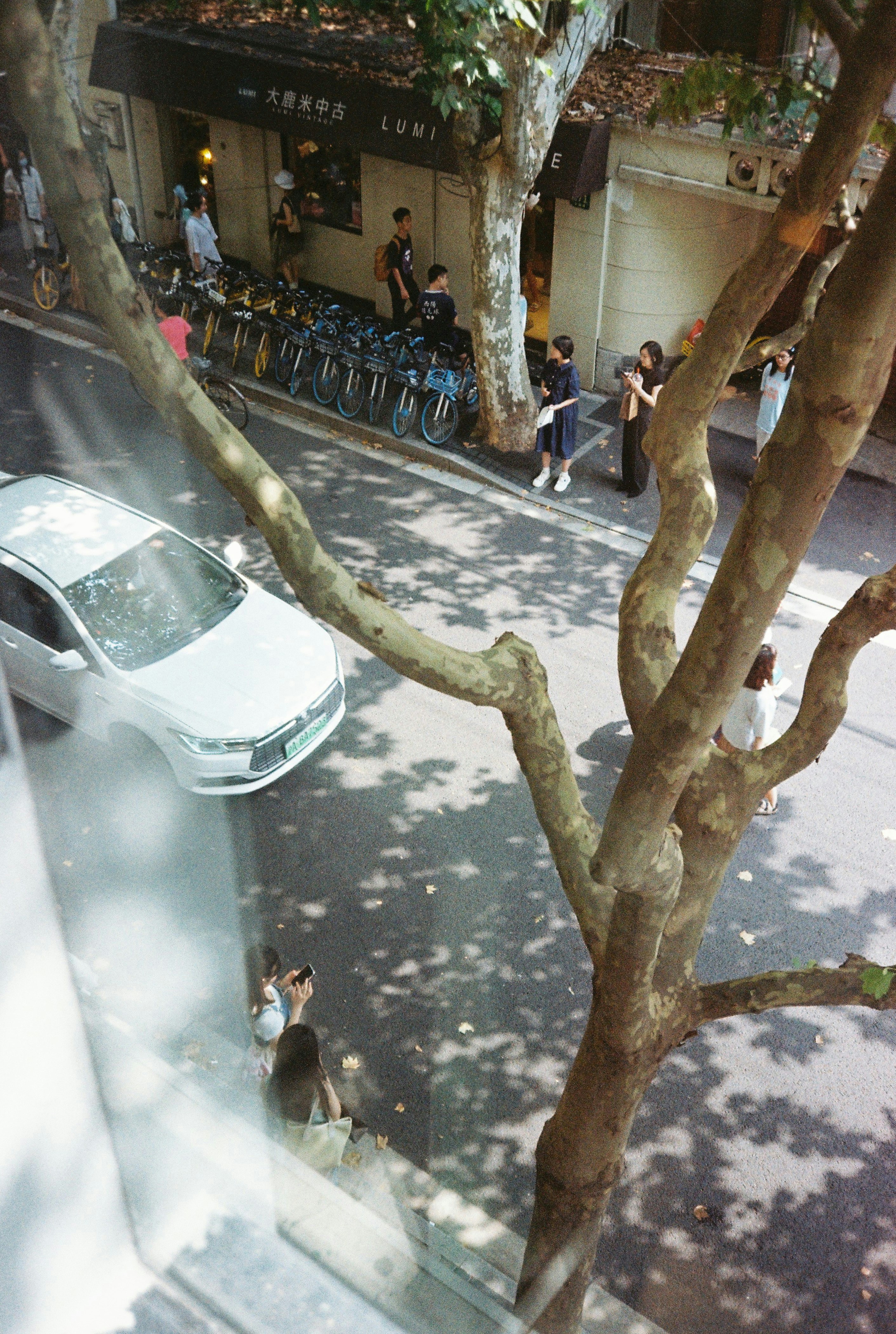 a car parked on the side of a street next to a tree