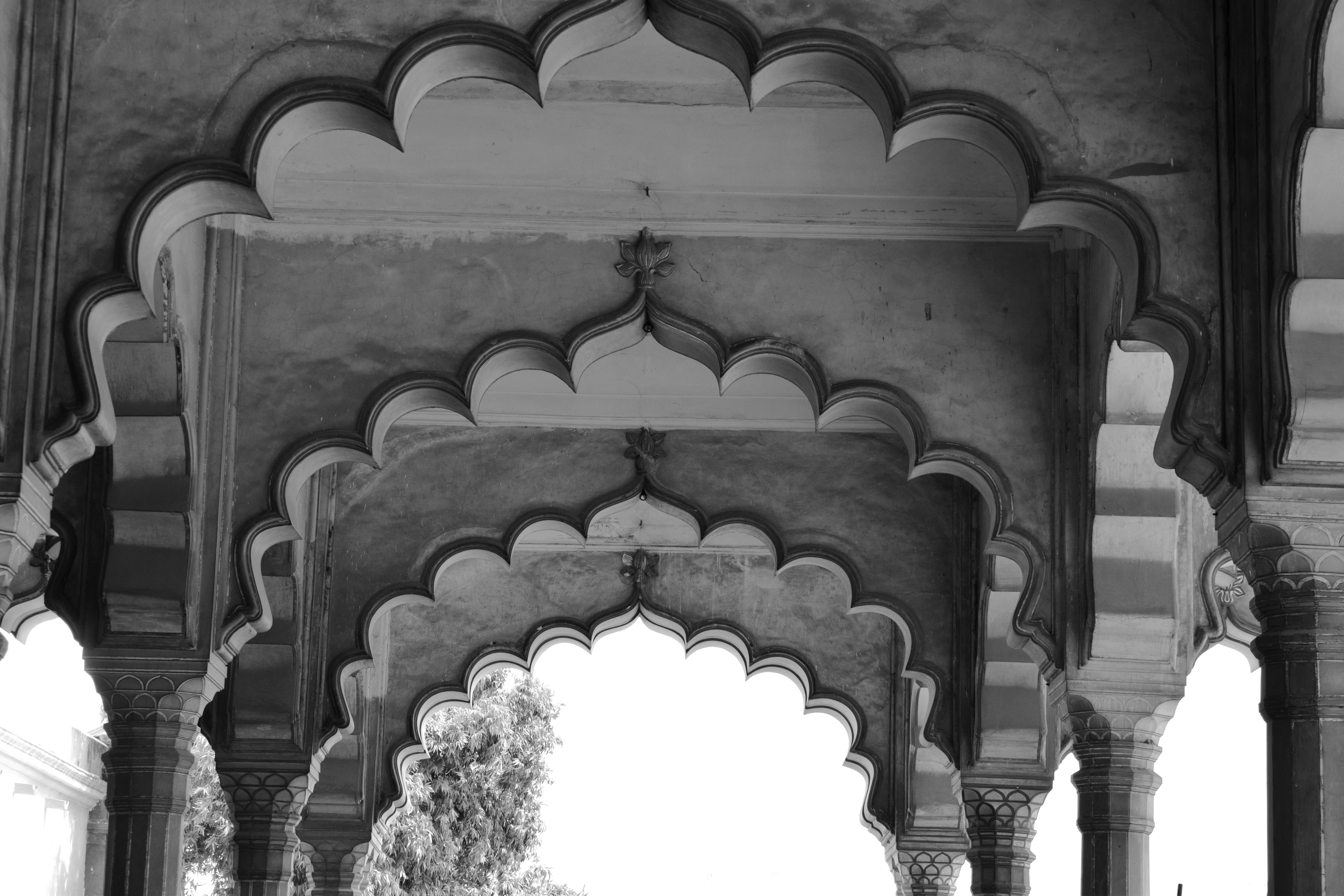 Photo by adityadoliya