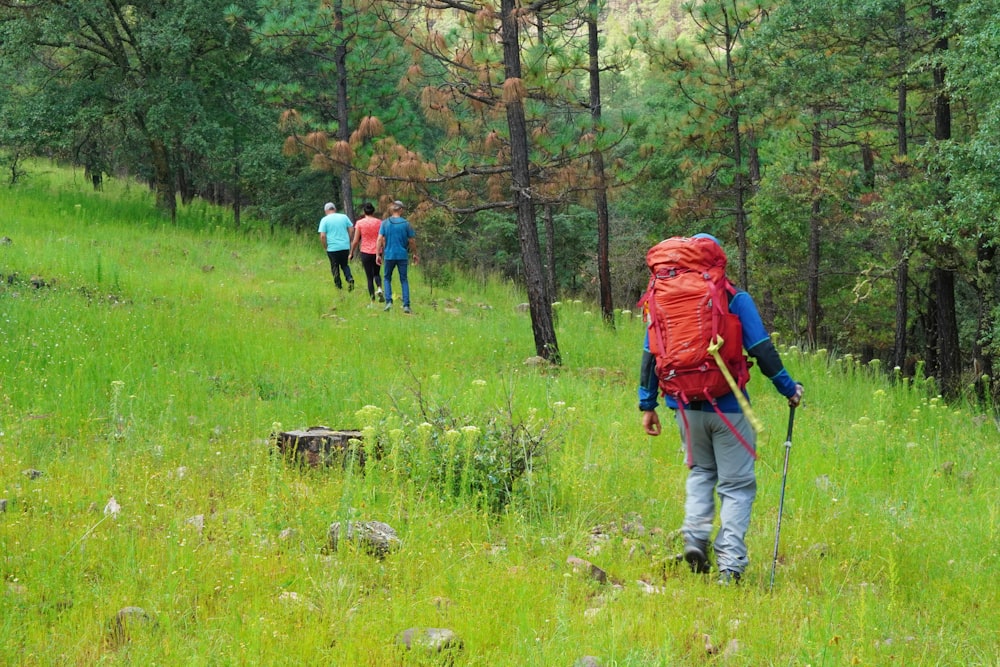 a group of people hiking up a hill in the woods