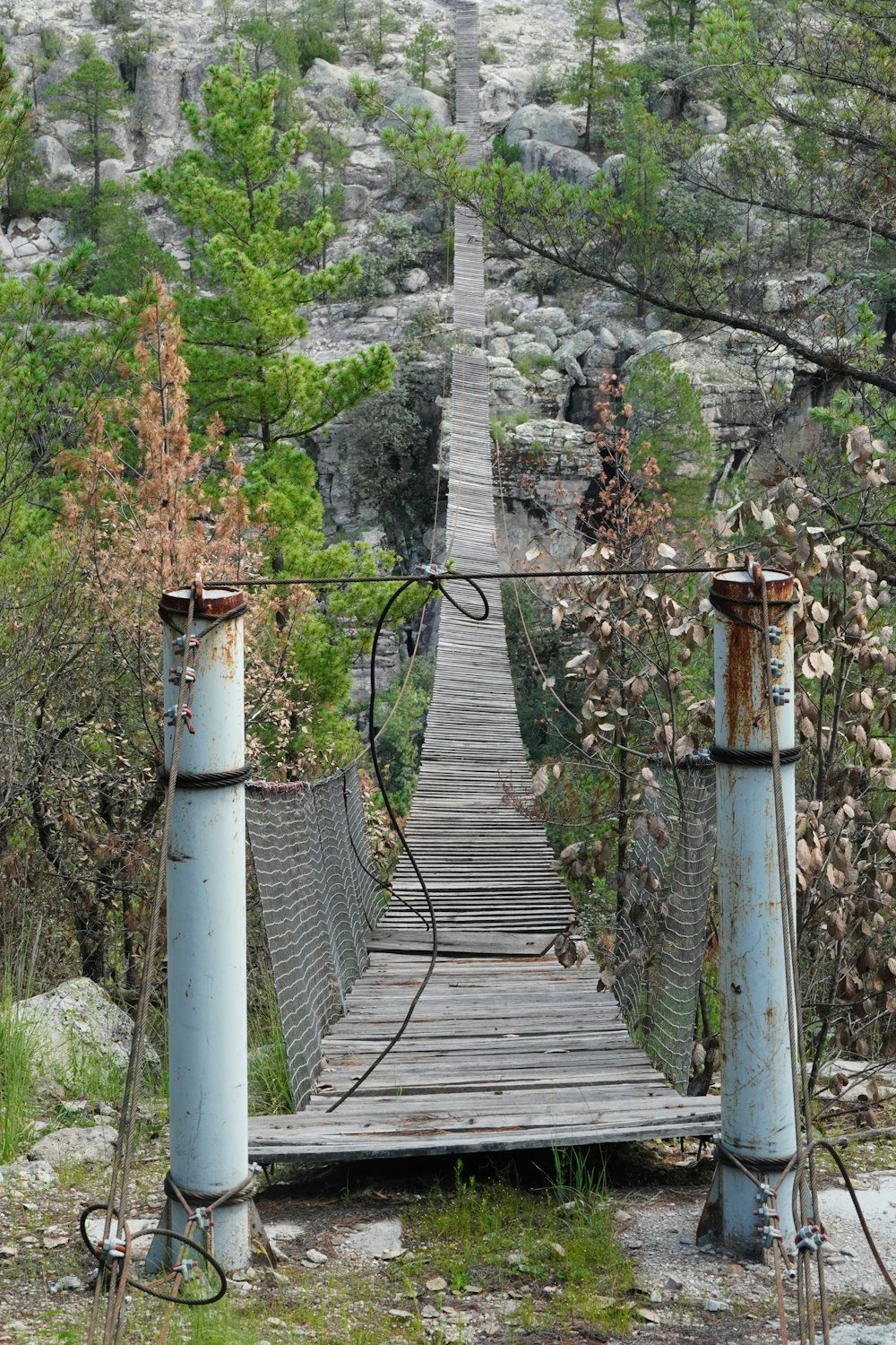 a wooden bridge in the middle of a forest