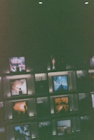 Bright nature shots arranged symmetrically on a gallery shelf.