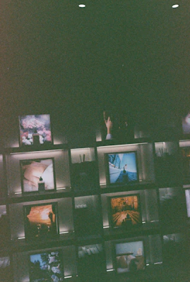 Rare scenic curiosities displayed on a dark velvet cloth with soft lighting.