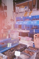 A fish market scene with various tanks and containers holding live seafood. Blue shelves display several fish tanks, and numerous containers on the floor hold diverse marine creatures. Signs with prices or labels are visible. The setting appears cluttered with equipment and market supplies around.