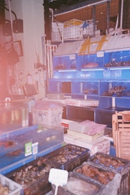 A fish market scene with various tanks and containers holding live seafood. Blue shelves display several fish tanks, and numerous containers on the floor hold diverse marine creatures. Signs with prices or labels are visible. The setting appears cluttered with equipment and market supplies around.