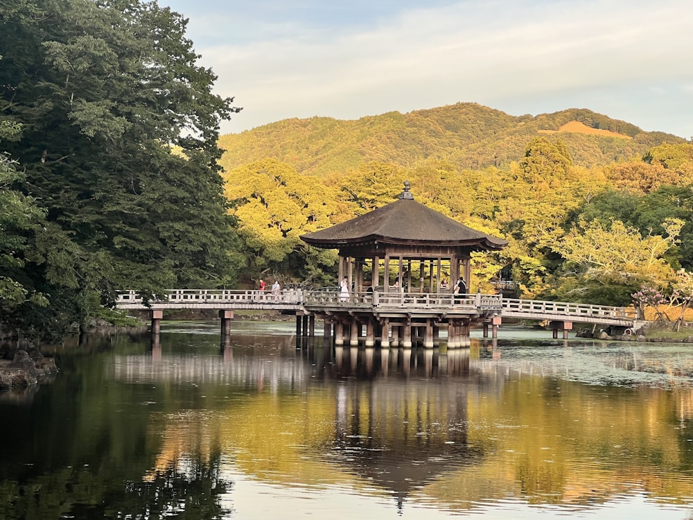 a bridge over a body of water next to a forest