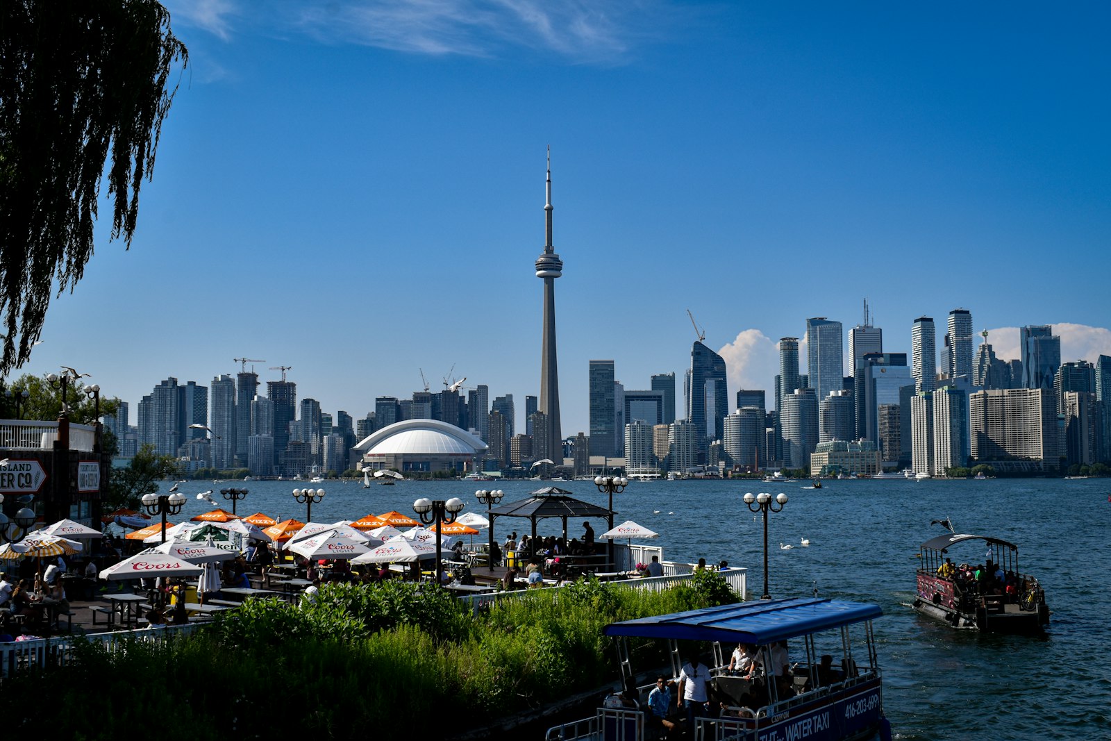 Toronto skyline with the CN Tower, seen from Toronto Island