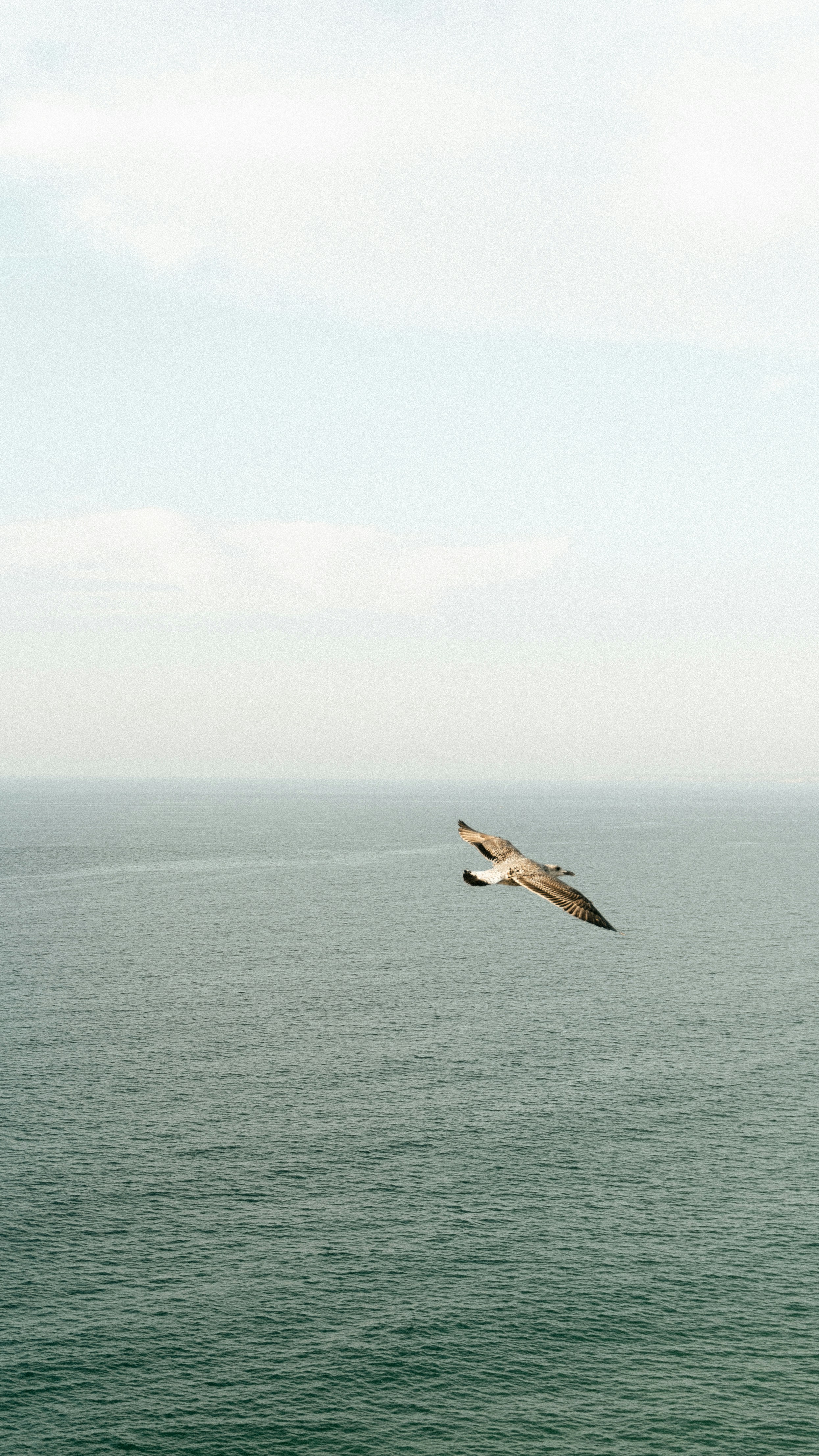 Photo by johannaschrag