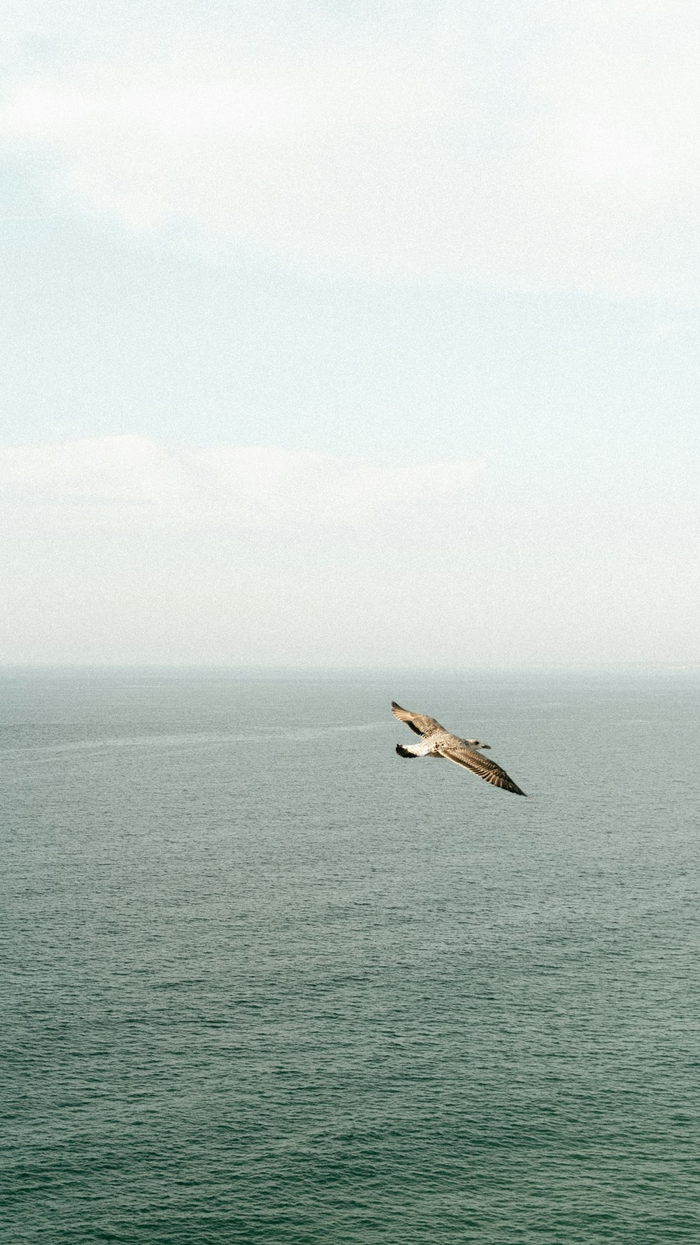 a plane flying over a body of water