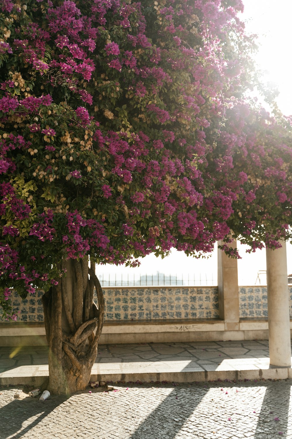 a tree with purple flowers in a vase