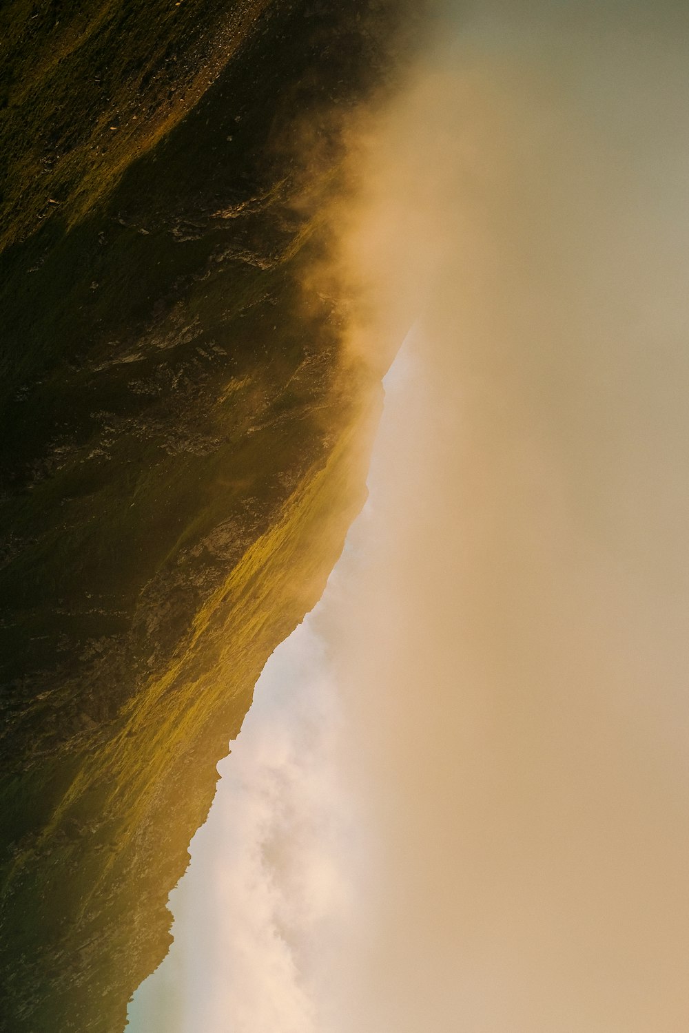 a bird flying over a body of water