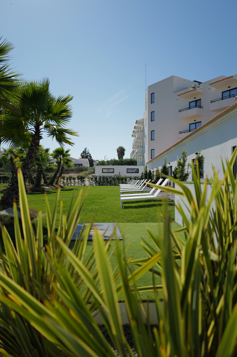 a view of a building with a lawn in front of it