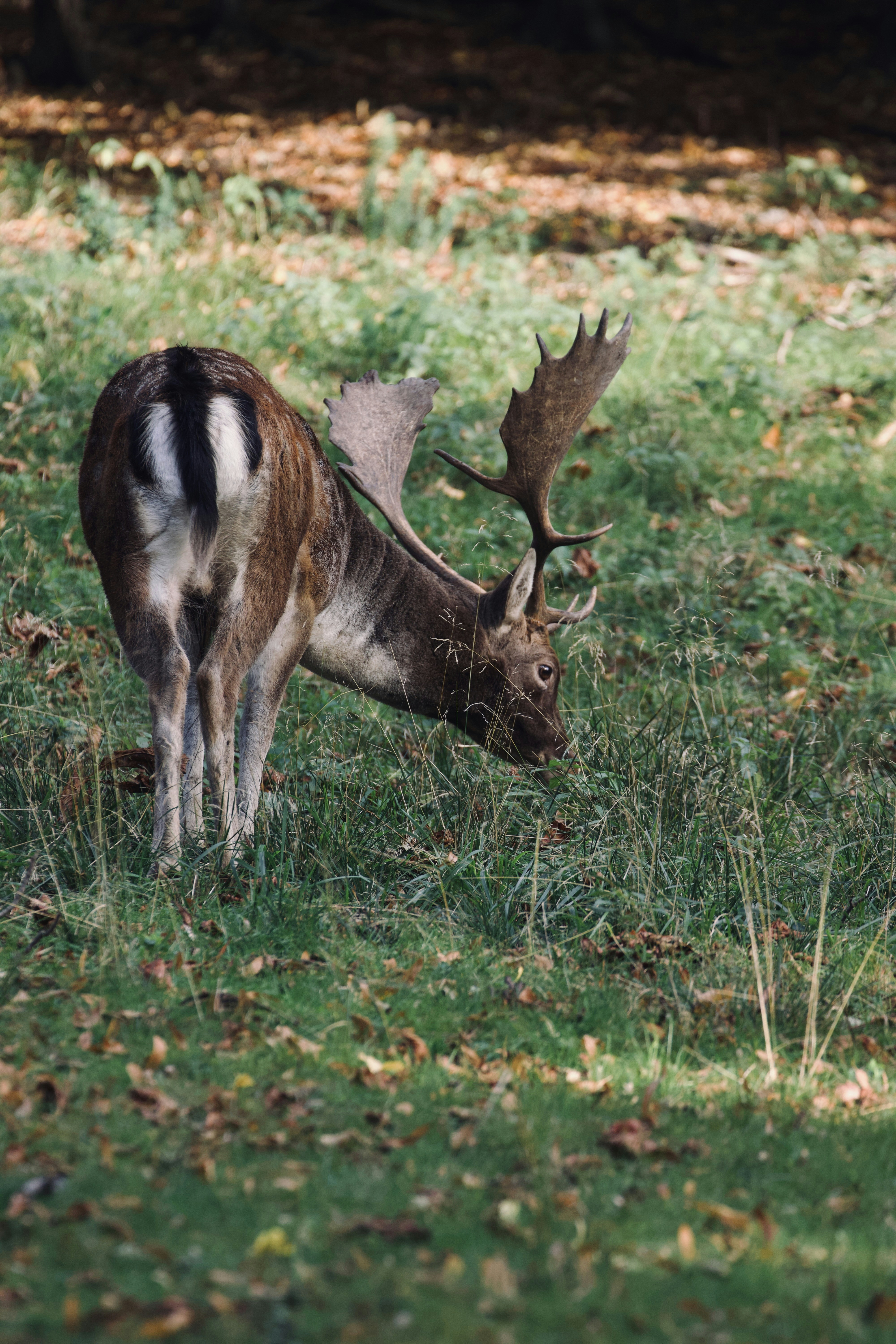 Photo by jakub_neskora