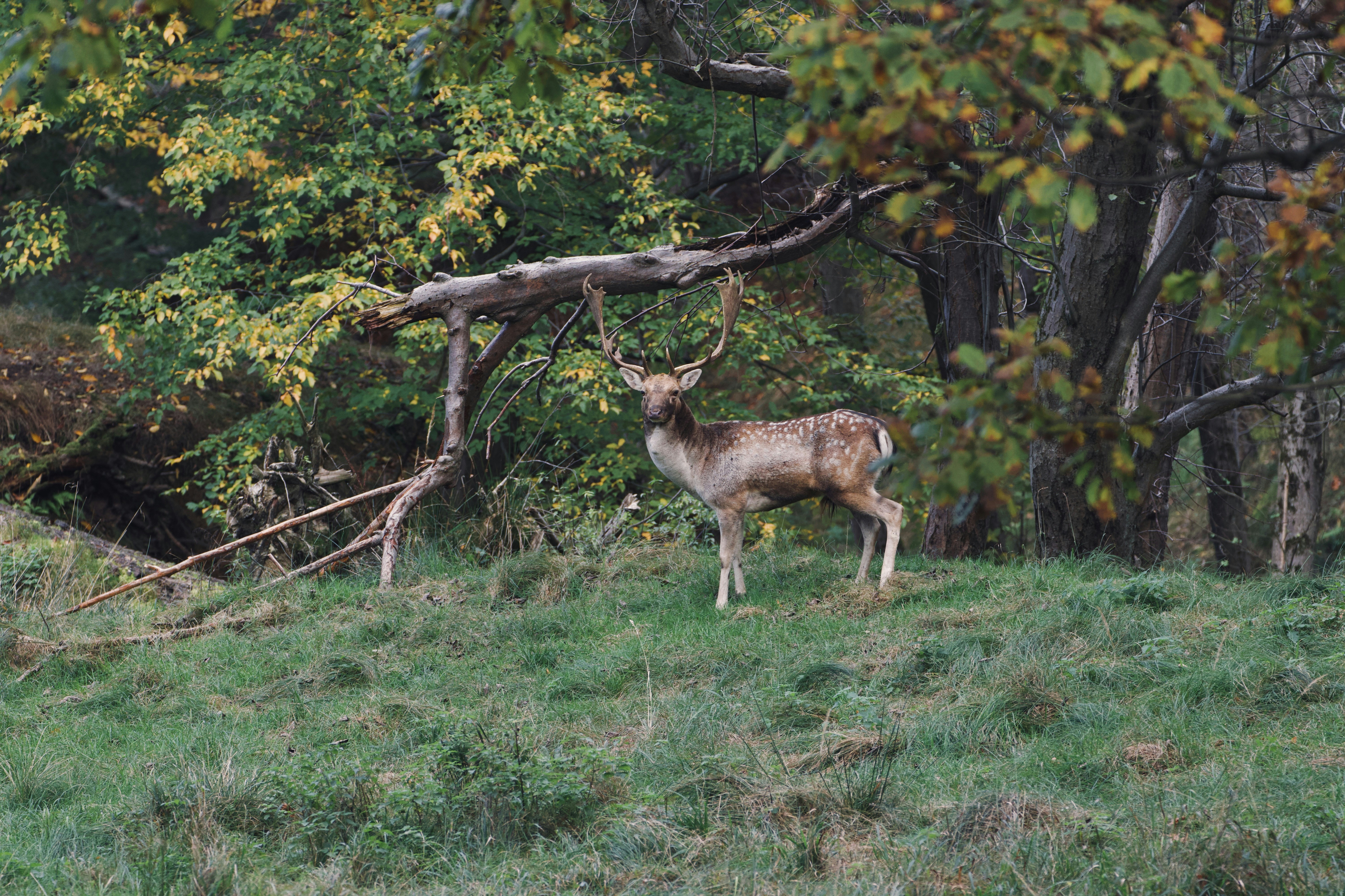 Photo by jakub_neskora