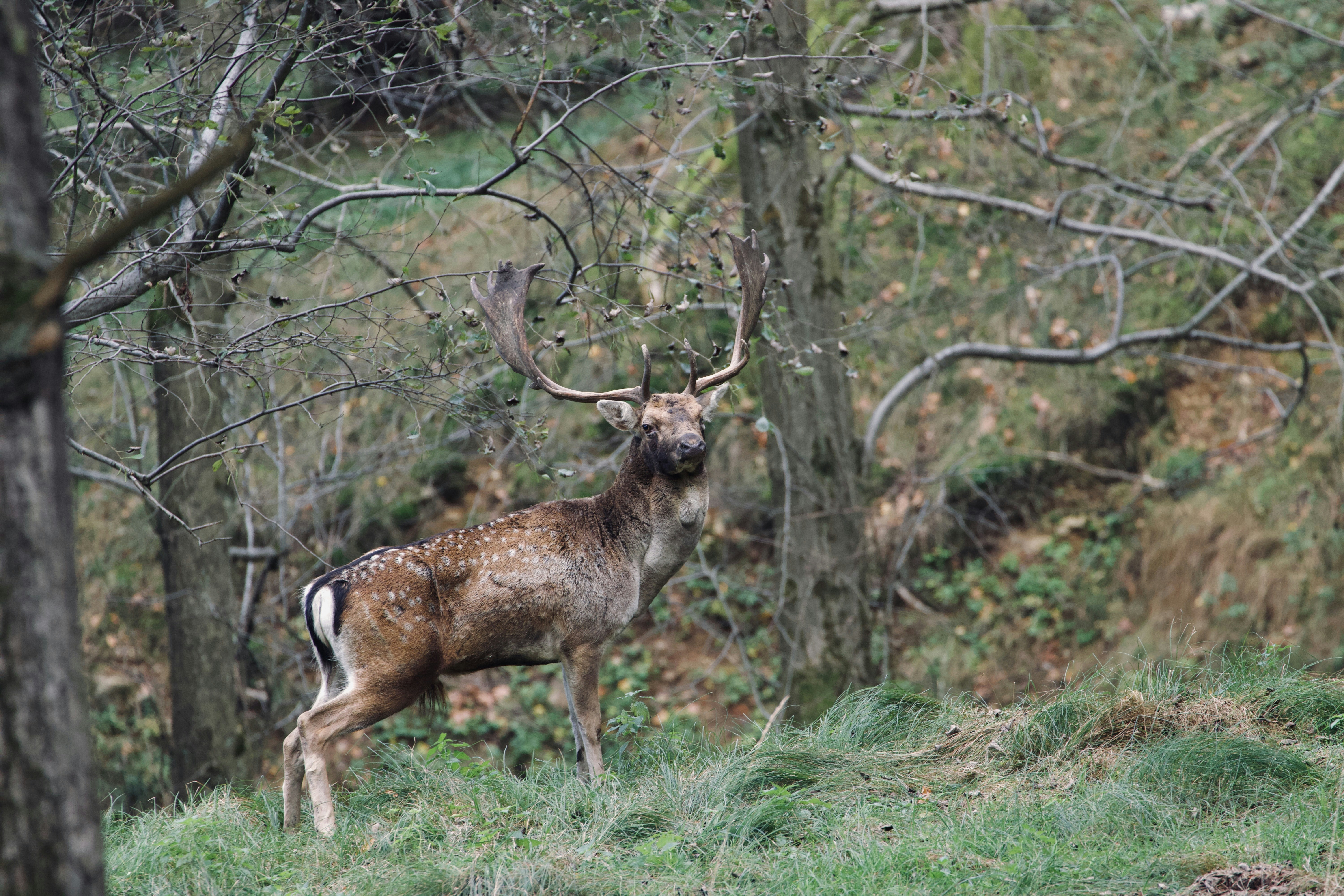 Photo by jakub_neskora