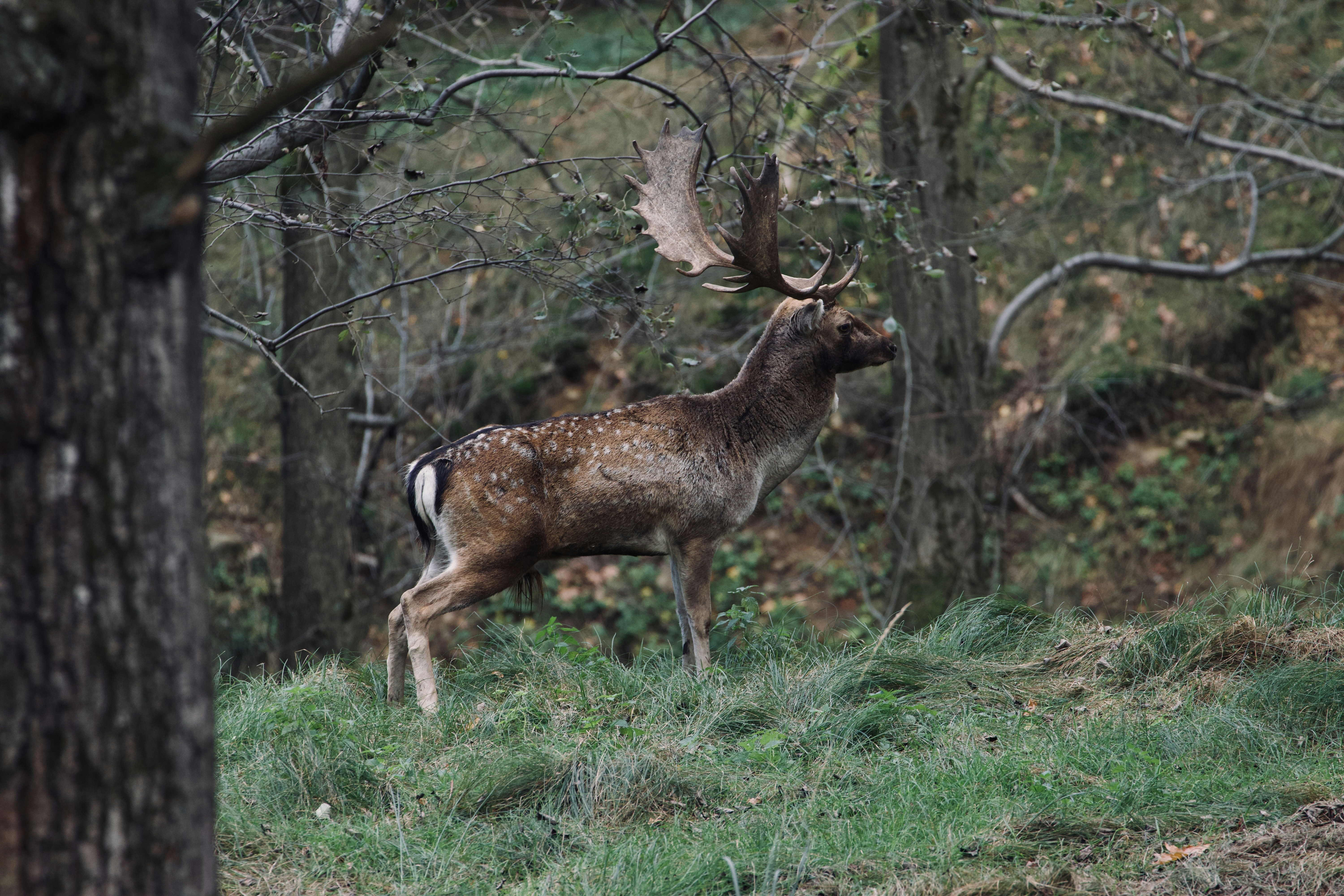 Photo by jakub_neskora