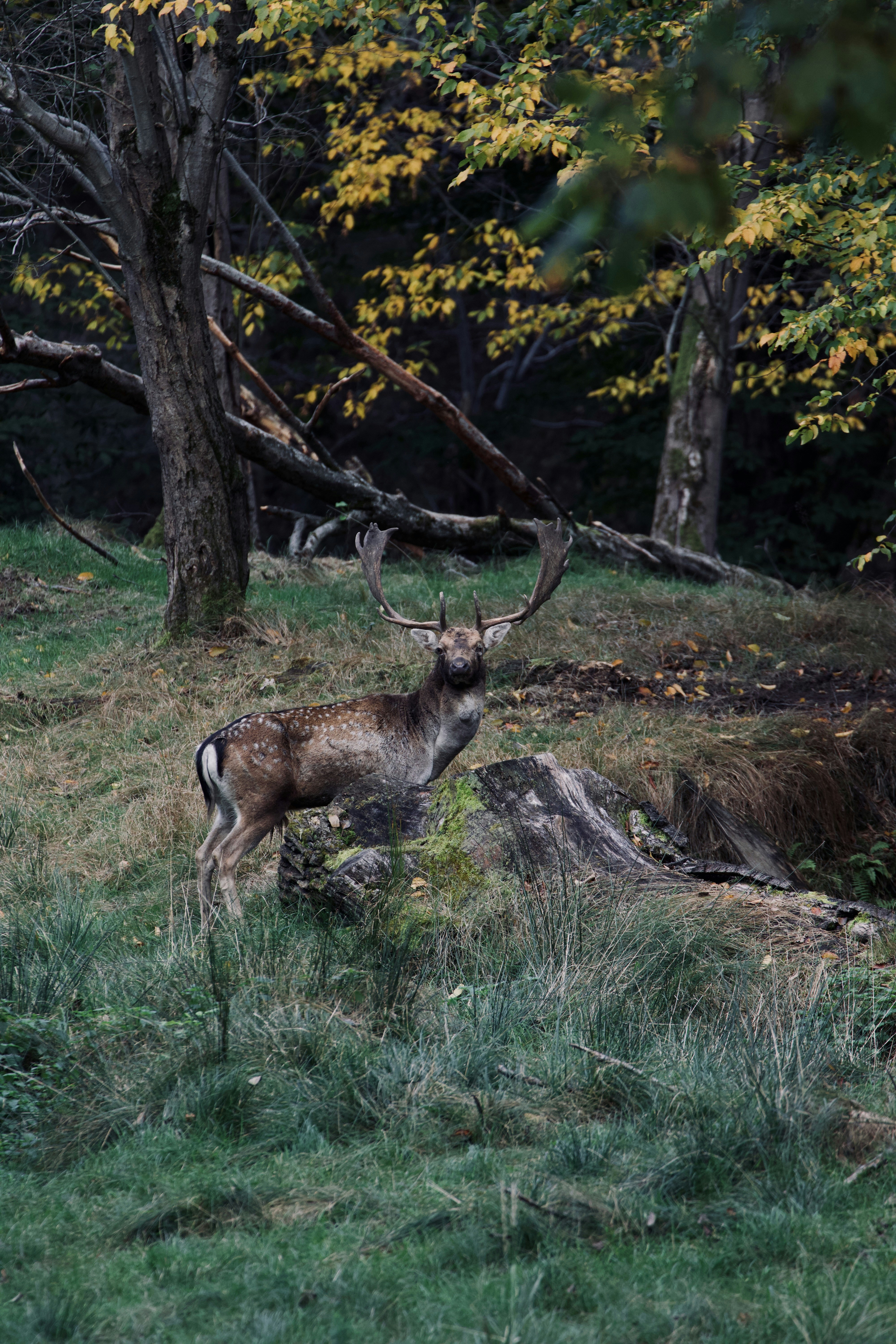 Photo by jakub_neskora