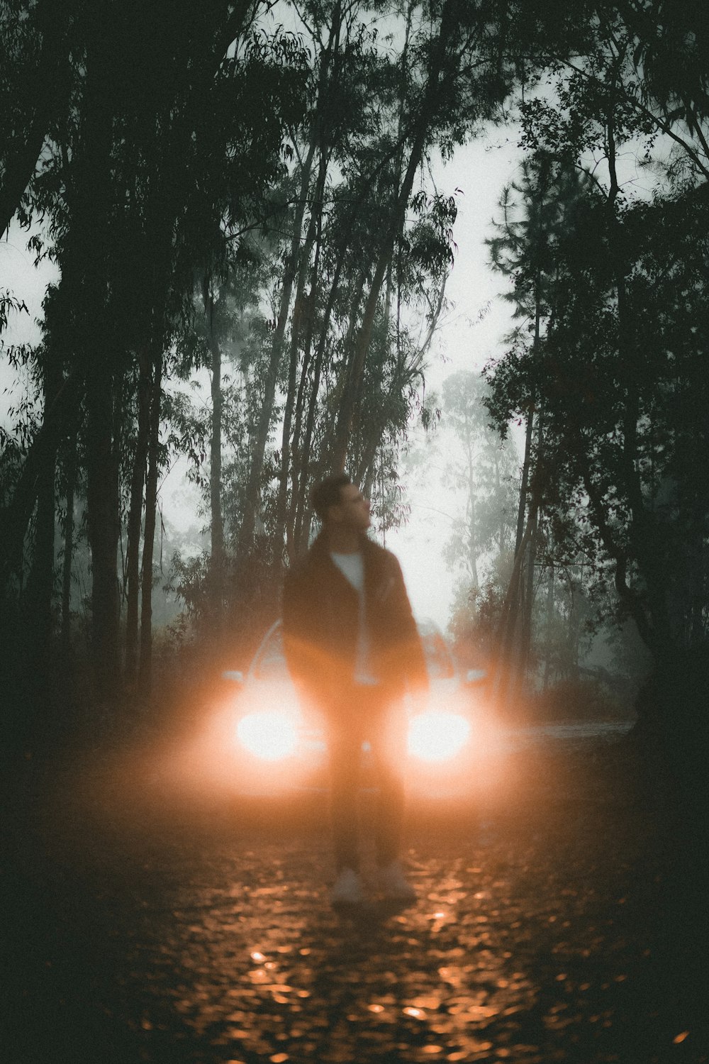 a man riding a motorcycle through a forest