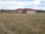 A single-story house with a red roof and beige walls surrounded by a large expanse of mowed grass. A small shed or enclosure is visible to the left, and a few birds are seen in front of the house. The area seems rural, with trees or a forest in the background under a partly cloudy sky.