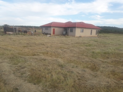 A single-story house with a red roof and beige walls surrounded by a large expanse of mowed grass. A small shed or enclosure is visible to the left, and a few birds are seen in front of the house. The area seems rural, with trees or a forest in the background under a partly cloudy sky.