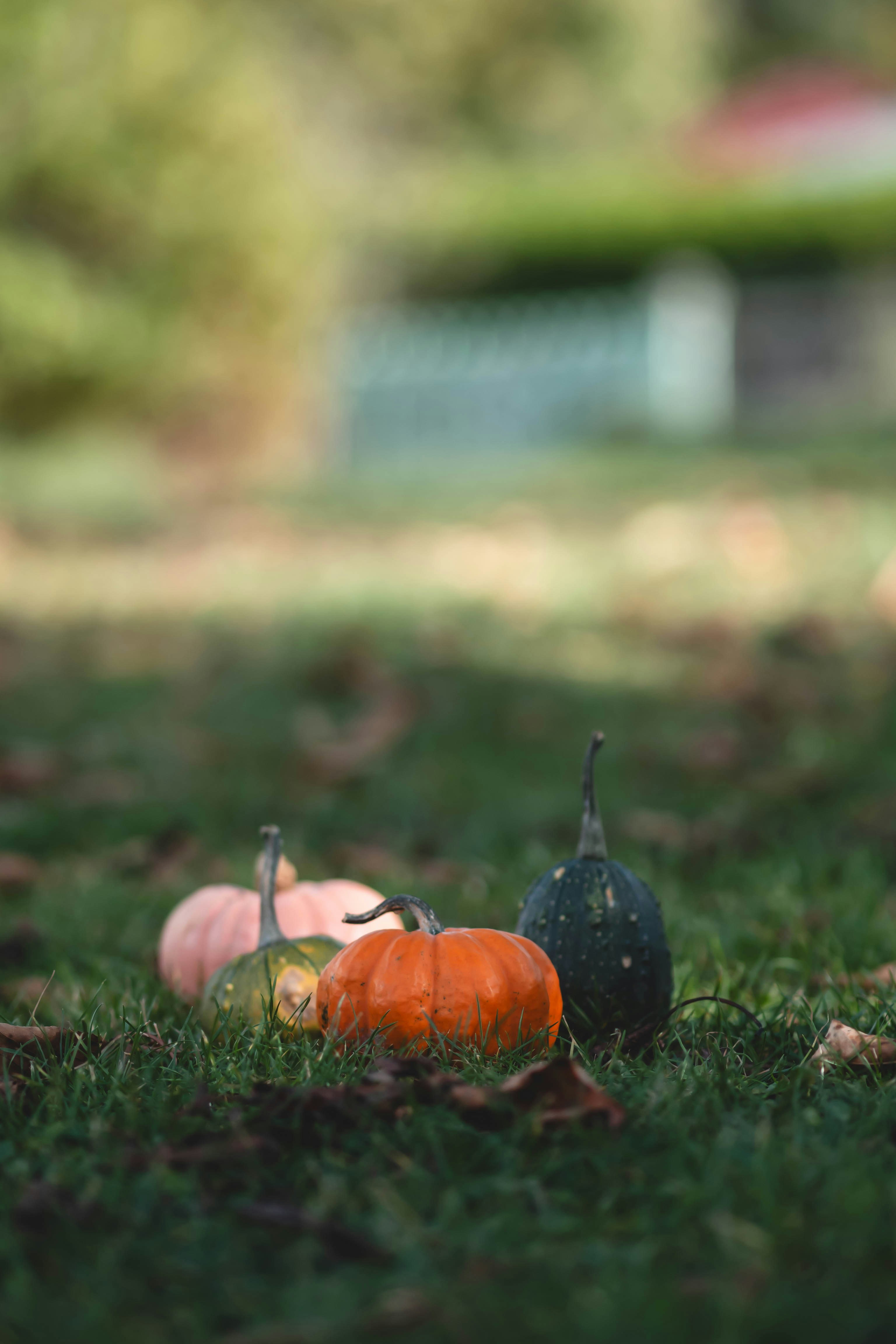 Photo by eileen_kummer