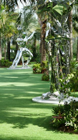 a lush green park filled with lots of palm trees