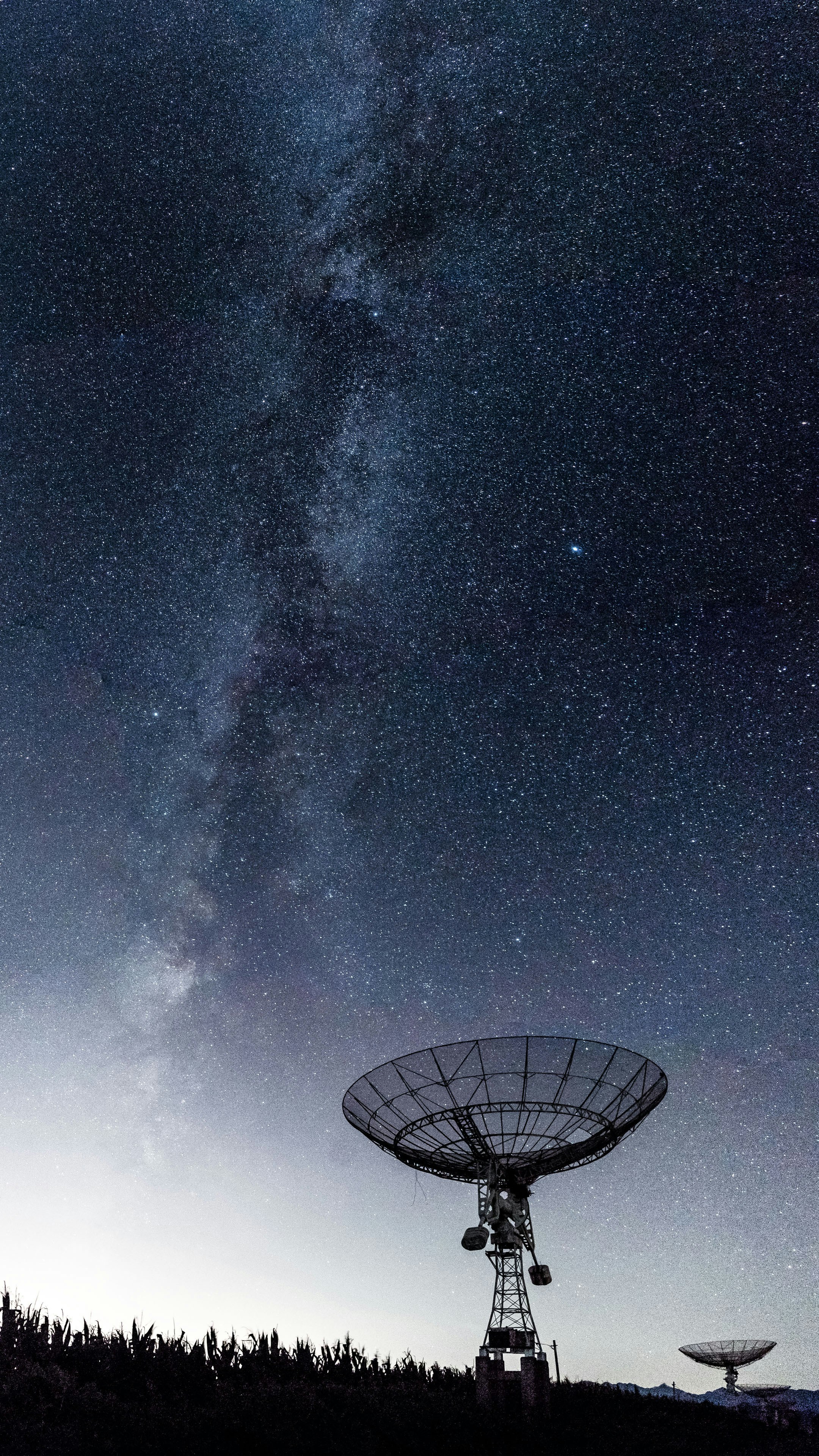 Logo for Stellar Solutions