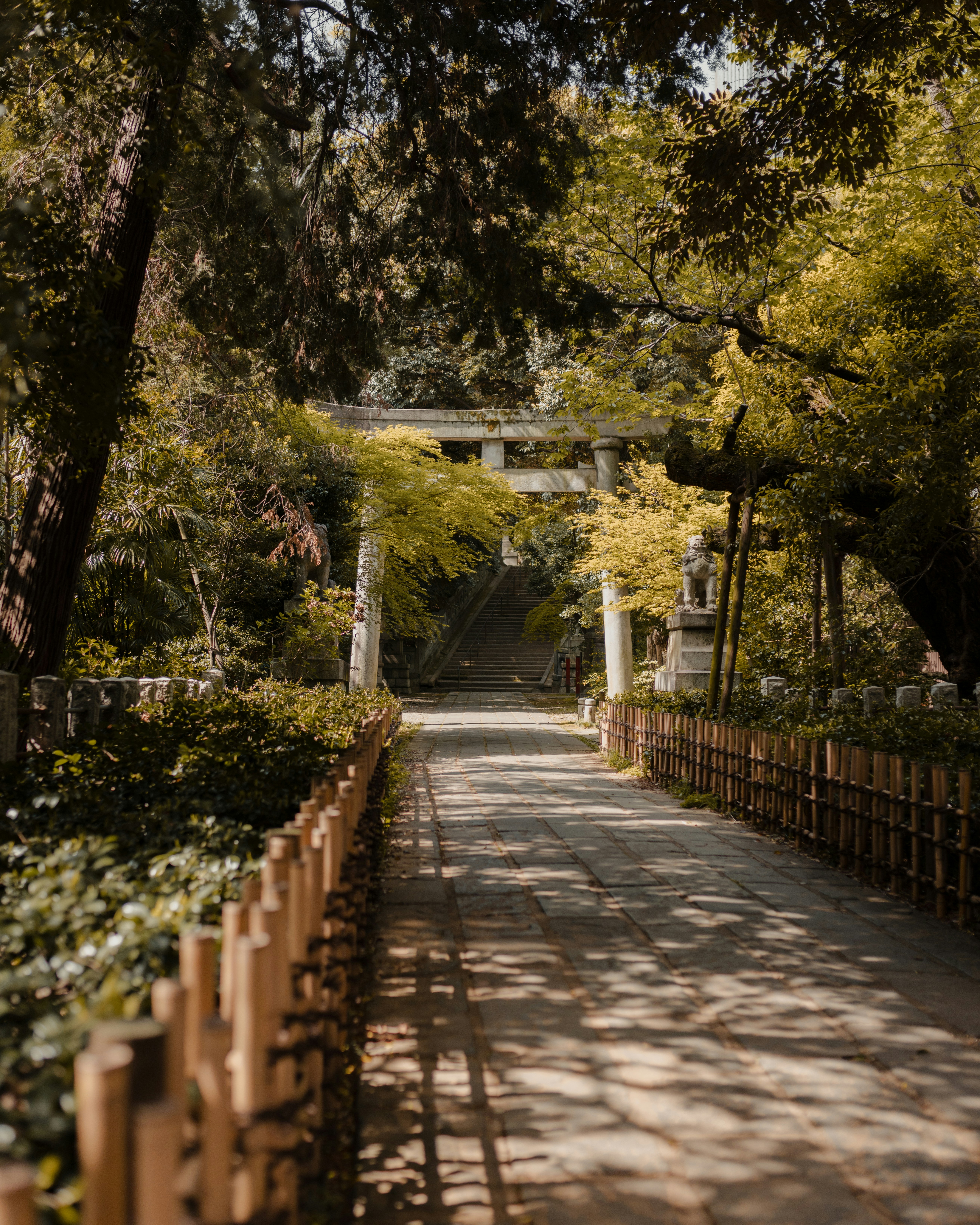 Photo by caleb_smithy