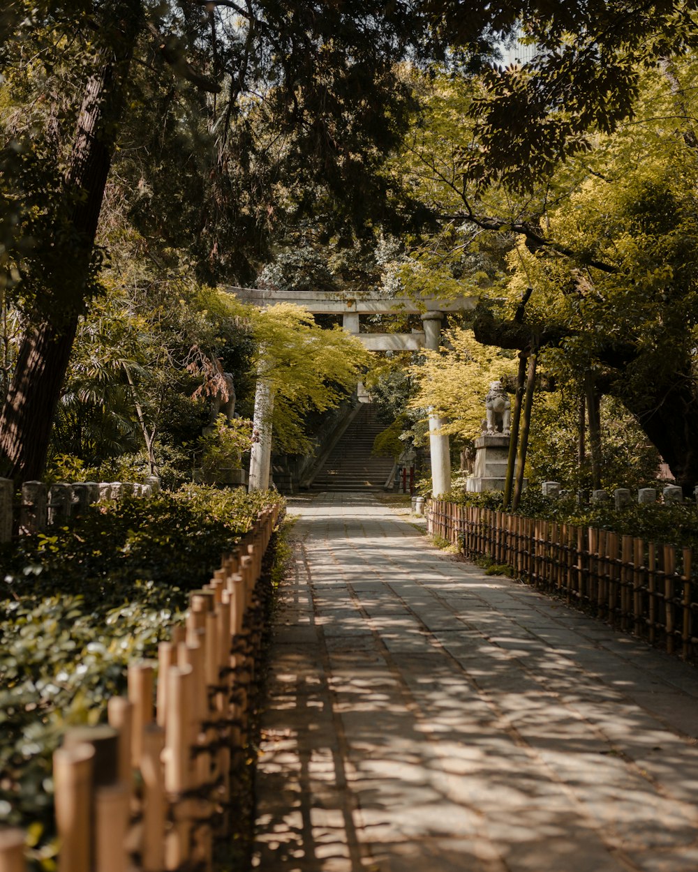 木々や茂みが立ち並ぶ公園の小道